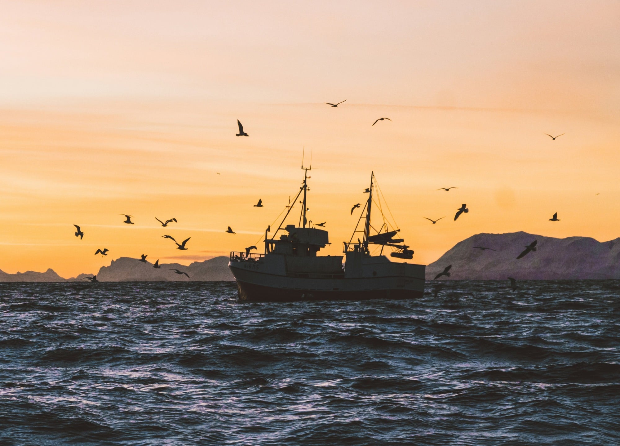Senja Fjord Explorer