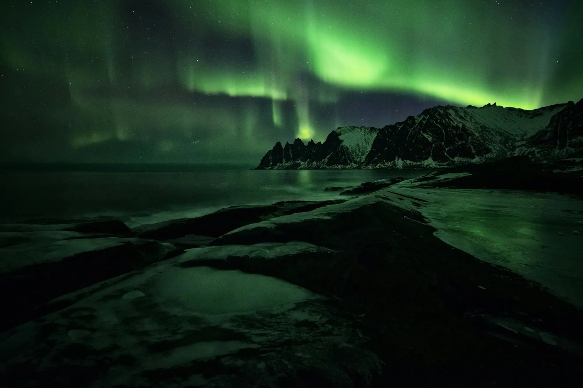 Northern Lights Cruise