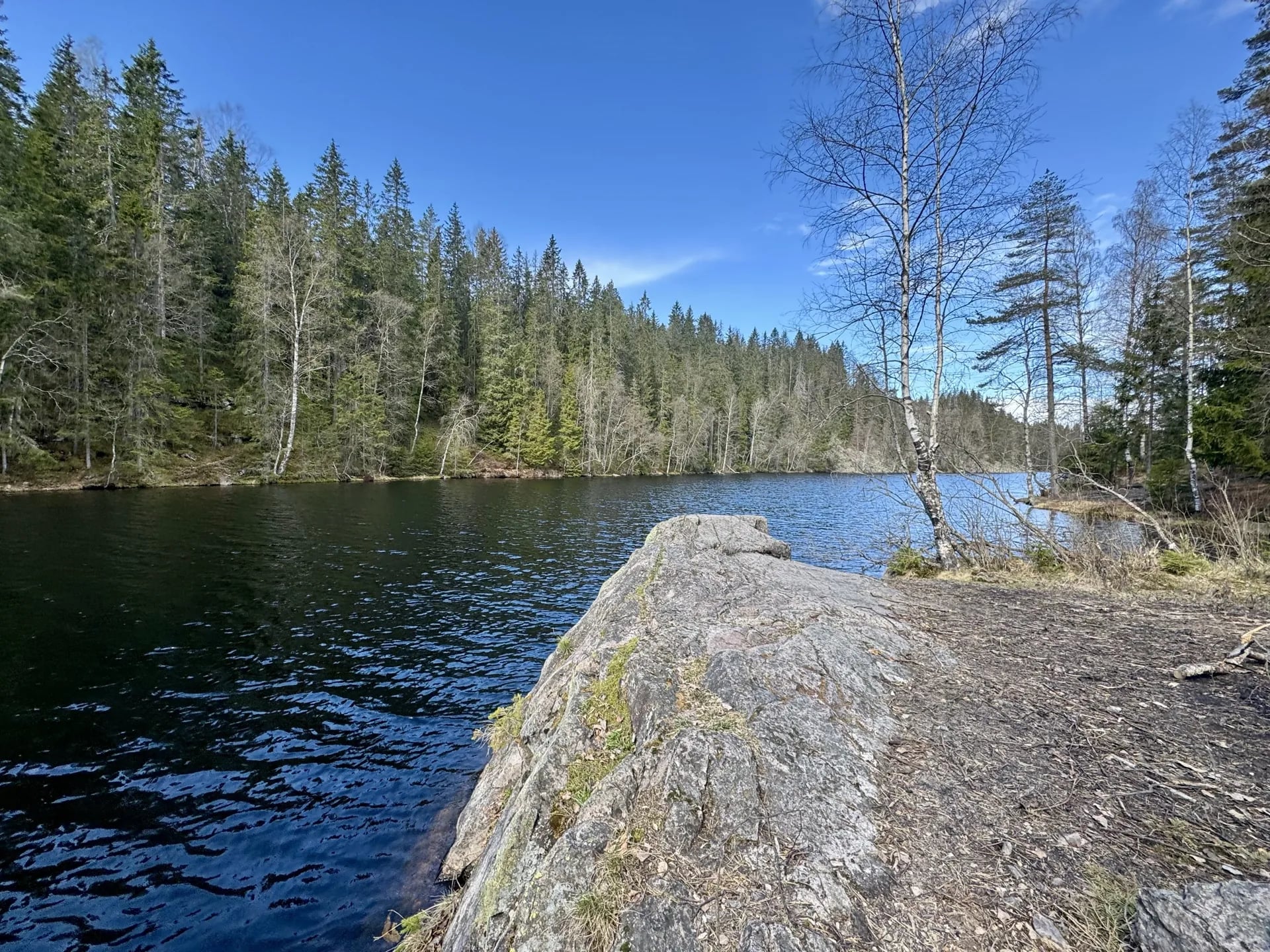Oslo Gravel Short – Nordmarka for nybegynnere